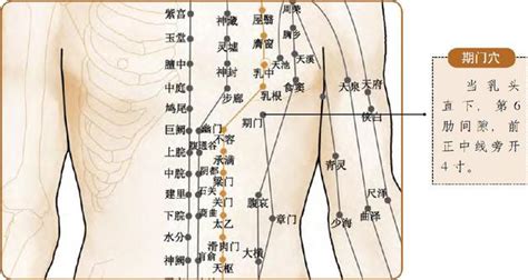 旗門穴|期門穴：疏肝理氣，深呼吸養肺